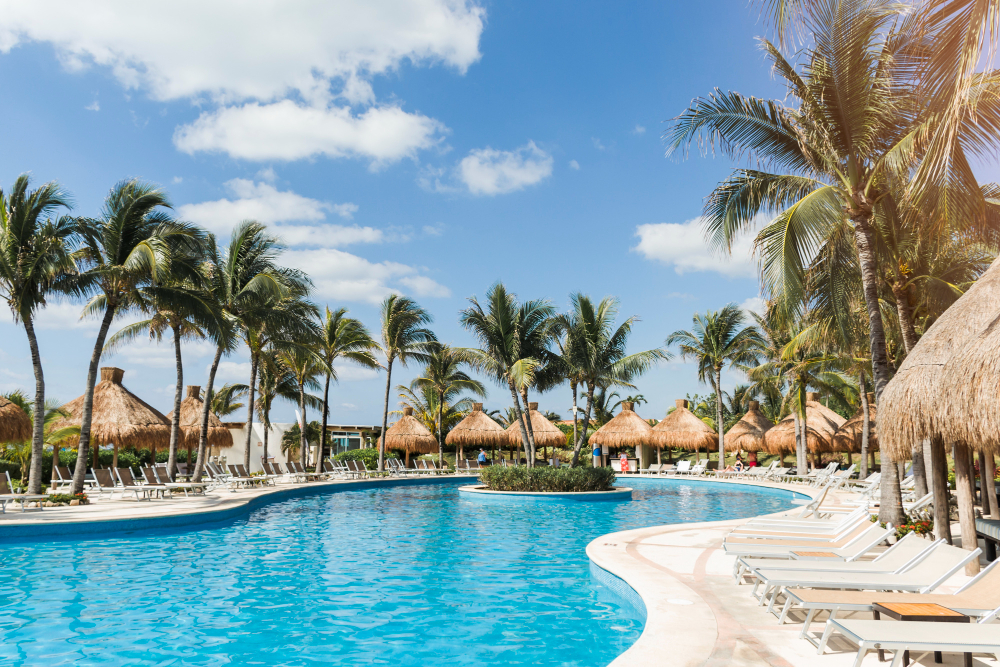 sun-loungers-near-palms-swimming-pool